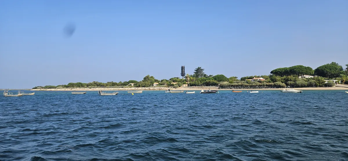 Paysage de vasières et de parcs à huîtres depuis le chenal de la Patache, Île de Ré