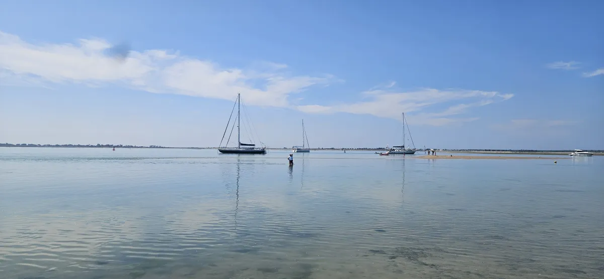 Estran découvert à marée basse lors d’une grande marée dans les pertuis charentais